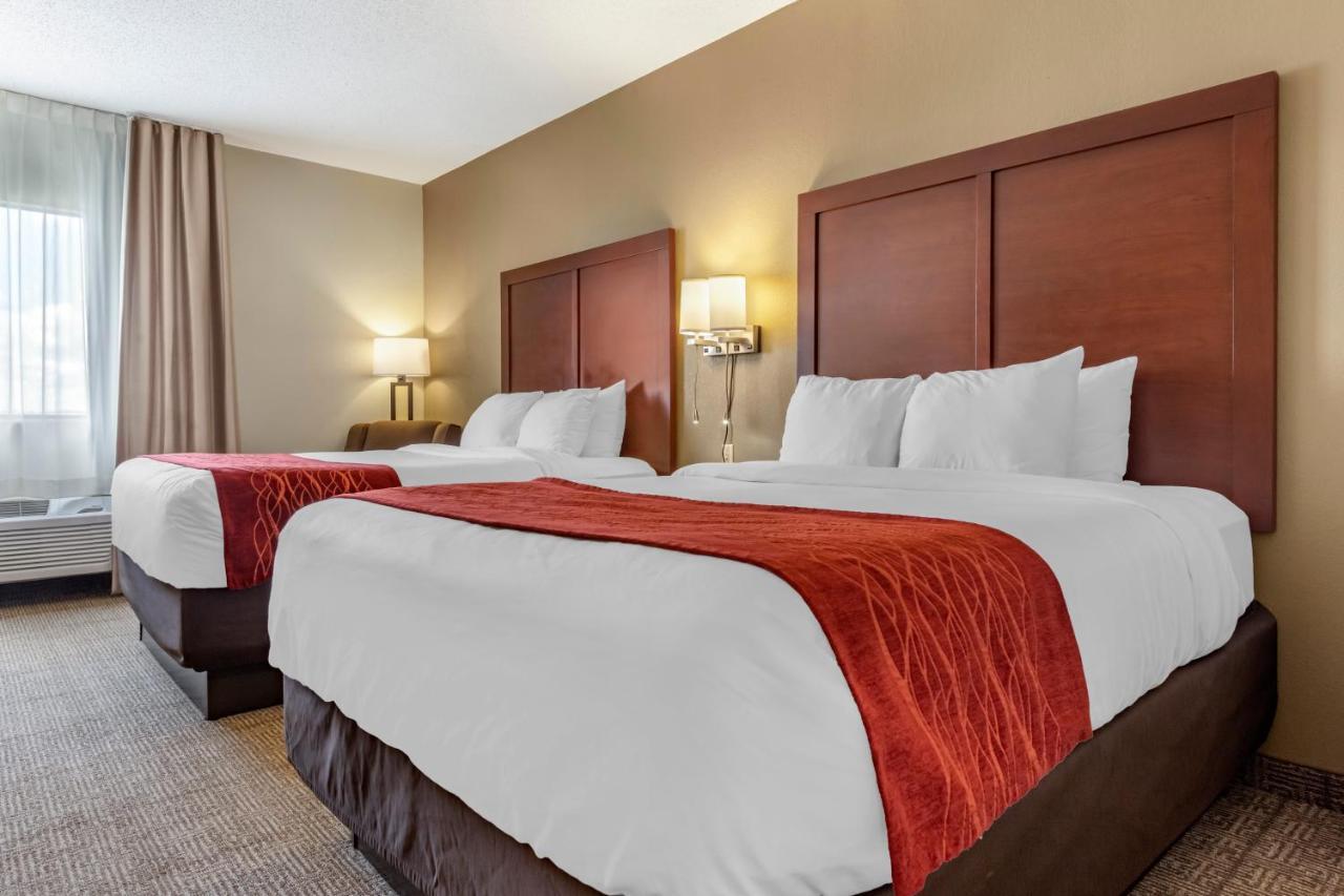 Comfort Inn & Suites Streetsboro - Kent Екстериор снимка