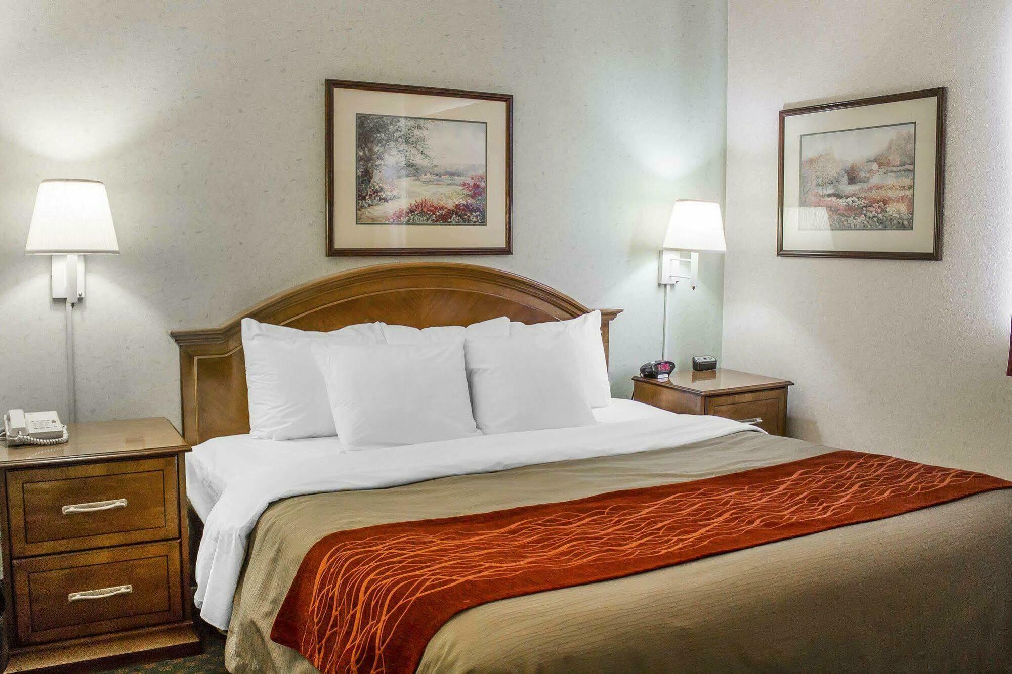 Comfort Inn & Suites Streetsboro - Kent Екстериор снимка